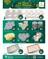 الانتقال إلى الصفحة 8 من 19