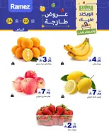 الانتقال إلى الصفحة 2 من 11