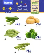 الانتقال إلى الصفحة 3 من 11