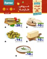 الانتقال إلى الصفحة 13 من 18