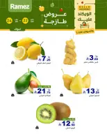 الانتقال إلى الصفحة 3 من 7