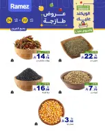 الانتقال إلى الصفحة 3 من 3