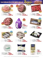 الانتقال إلى الصفحة 2 من 3