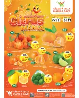 الانتقال إلى الصفحة 2 من 2