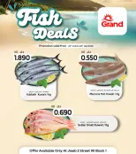 الانتقال إلى الصفحة 1 من 1