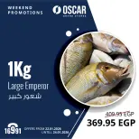 Ofertas de Tiendas Oscar Egipto de 22 a 24 enero 2026 Ofertas de fin de semana