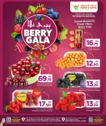 الانتقال إلى الصفحة 3 من 3