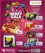 الانتقال إلى الصفحة 2 من 3