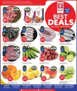 الانتقال إلى الصفحة 1 من 3