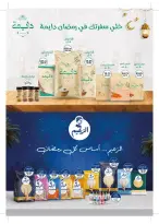 عروض فلامينجو  هايبر ماركت مصر من 23 يناير حتى 5 فبراير 2026 عروض رمضان كريم