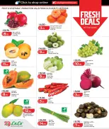 الانتقال إلى الصفحة 3 من 16