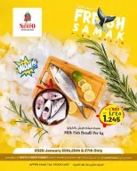 الانتقال إلى الصفحة 1 من 1