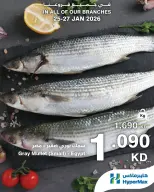 الانتقال إلى الصفحة 3 من 6