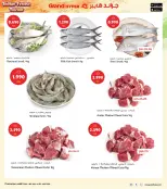 الانتقال إلى الصفحة 5 من 37