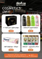 الانتقال إلى الصفحة 9 من 11