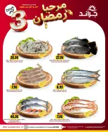 الانتقال إلى الصفحة 6 من 7