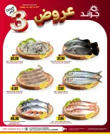 الانتقال إلى الصفحة 17 من 20