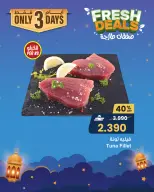 الانتقال إلى الصفحة 3 من 13