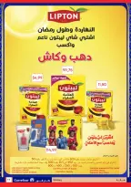 الانتقال إلى الصفحة 17 من 49