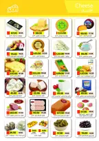 Royal House Egypt Offers from 25 January to 20 February 2026 Monthly magazine of offers