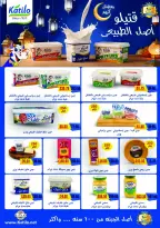 Royal House Egypt Offers from 25 January to 20 February 2026 Monthly magazine of offers