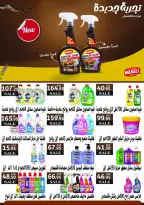 Royal House Egypt Offers from 25 January to 20 February 2026 Monthly magazine of offers