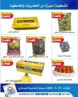 الانتقال إلى الصفحة 5 من 6