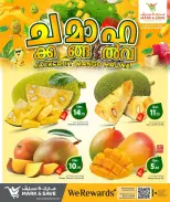 الانتقال إلى الصفحة 3 من 4