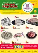 الانتقال إلى الصفحة 1 من 1