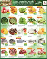 الانتقال إلى الصفحة 5 من 5