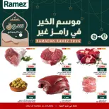 الانتقال إلى الصفحة 1 من 4