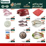 الانتقال إلى الصفحة 5 من 6