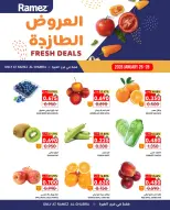 الانتقال إلى الصفحة 1 من 2