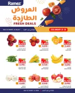 الانتقال إلى الصفحة 1 من 2