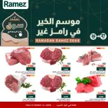 الانتقال إلى الصفحة 1 من 5