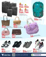 الانتقال إلى الصفحة 7 من 8