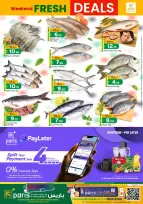 الانتقال إلى الصفحة 2 من 2