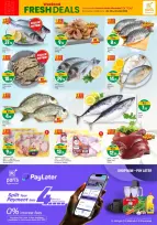 الانتقال إلى الصفحة 2 من 2