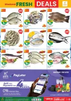 الانتقال إلى الصفحة 2 من 2