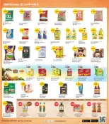 الانتقال إلى الصفحة 3 من 8