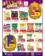 الانتقال إلى الصفحة 24 من 29