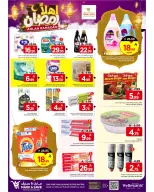 الانتقال إلى الصفحة 26 من 29