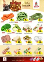 الانتقال إلى الصفحة 3 من 51