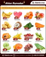 الانتقال إلى الصفحة 33 من 33