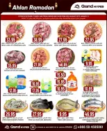 الانتقال إلى الصفحة 31 من 33