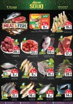 الانتقال إلى الصفحة 13 من 13