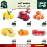 الانتقال إلى الصفحة 4 من 5