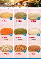 Offres supermarché Trolleys Émirats arabes unis de 29 janvier à 4 février 2026 Offres de ce soir