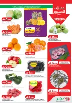 الانتقال إلى الصفحة 2 من 16