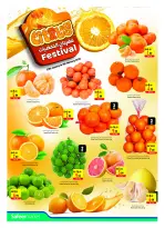 الانتقال إلى الصفحة 2 من 37